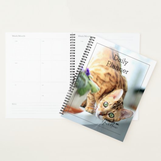 Daily Planner - Cat - HAMbWG (Display)