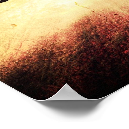 Daily Practice Poster (Hoek)