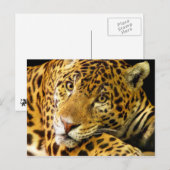 Daimler de Jaguar Briefkaart (Voorkant / Achterkant)