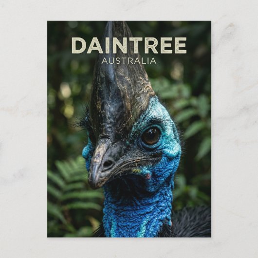 Daintree Regenwoud Australië Briefkaart (Voorkant)