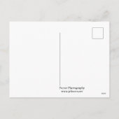 Daintree regenwoud op Cape Tribulation Feestdagenkaart (Achterkant)