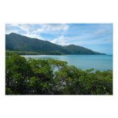 Daintree regenwoud op Cape Tribulation Foto Afdruk (Voorkant)