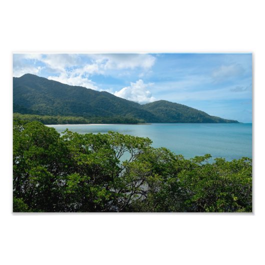 Daintree regenwoud op Cape Tribulation Foto Afdruk (Voorkant)