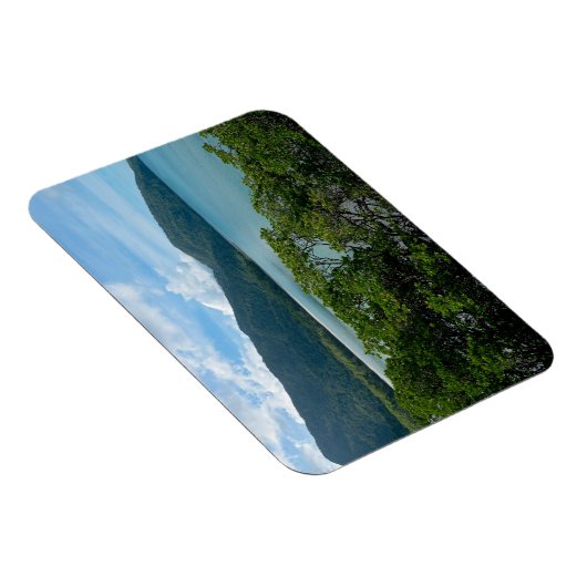 Daintree regenwoud op Cape Tribulation Magneet (Rechterzijde)