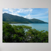 Daintree regenwoud op Cape Tribulation Poster (Voorkant)