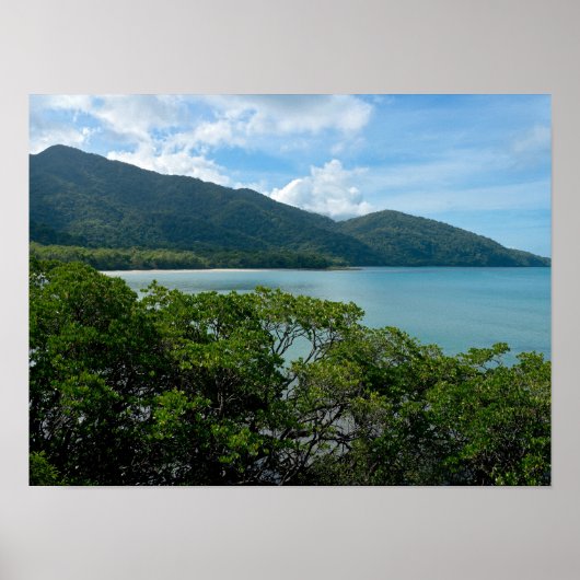 Daintree regenwoud op Cape Tribulation Poster (Voorkant)