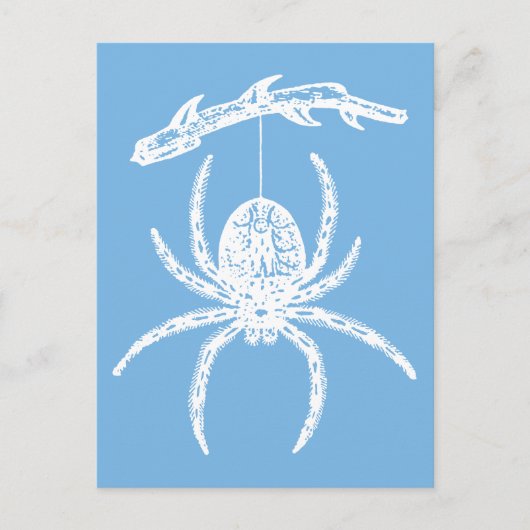 Dainty Blue Spider Briefkaart (Voorkant)