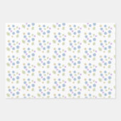 Dainty Daisies Inpakpapier Vel (Voorkant)