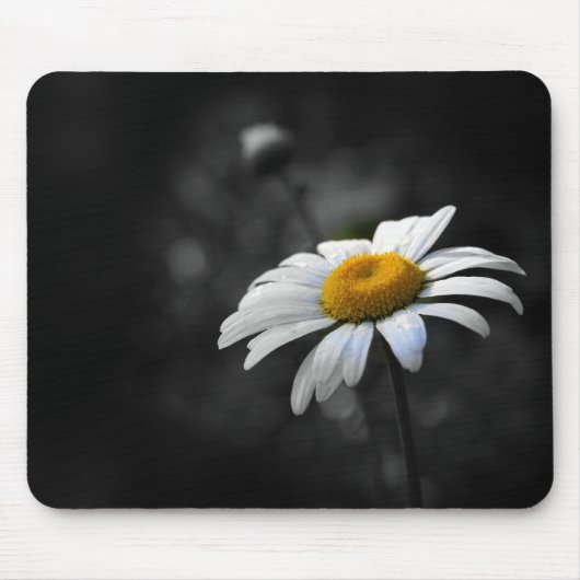 Dainty Daisy Muismat (Voorkant)