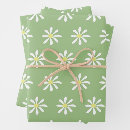 Dainty Daisy Wrapping Paper (Sage Green & White) (In situ)