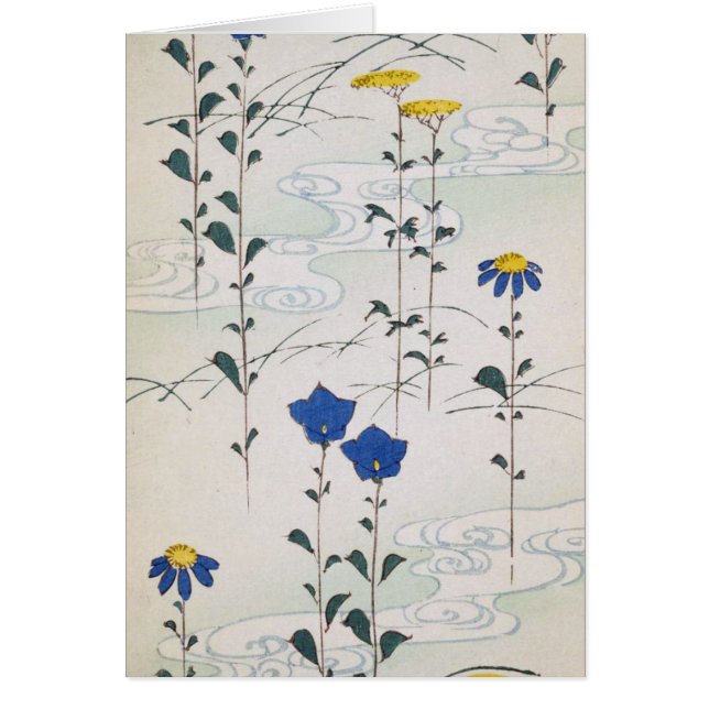 Dainty  Flowers (Voorkant)