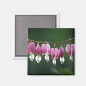 Dainty Hearts Magnet (Voorkant / Achterkant)