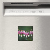 Dainty Hearts Magnet (Insitu (Vaatwasser))