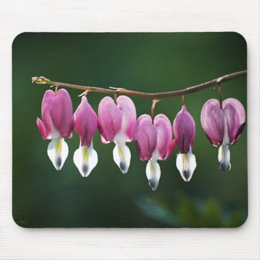 Dainty Hearts Mousepad Muismat (Voorkant)