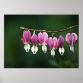 Dainty Hearts Print (Voorkant)