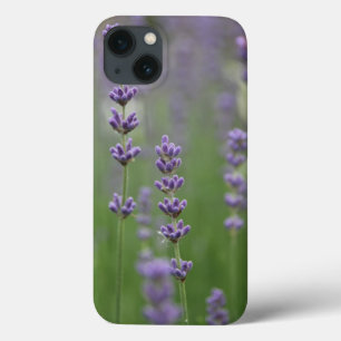 Dainty Lavender Barely Daar iPad Air Case