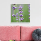 Dainty Lavender Canvas Afdruk (Insitu (Woonkamer))