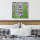 Dainty Lavender Canvas Afdruk (Insitu (Slaapkamer))