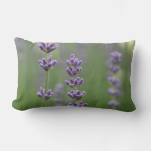 Dainty Lavender Lumbar Pillow Kussen