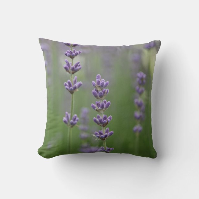 Dainty Lavender Sierkussen (Voorkant)