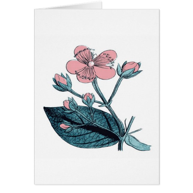 Dainty Pink Floral (Voorkant)