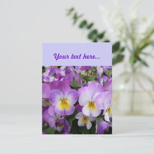 Dainty Violas Briefkaart (Staand voorkant)