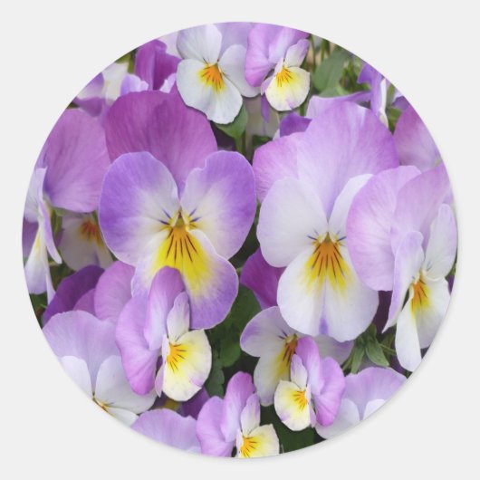 Dainty Violas Ronde Sticker (Voorkant)