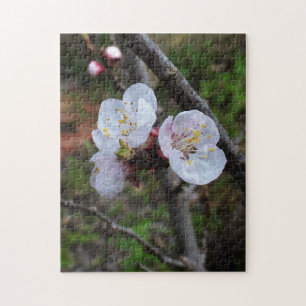 Dainty White Blossom, puzzel
