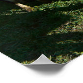 Dairy Cattle and Red Barn Print (Hoek)