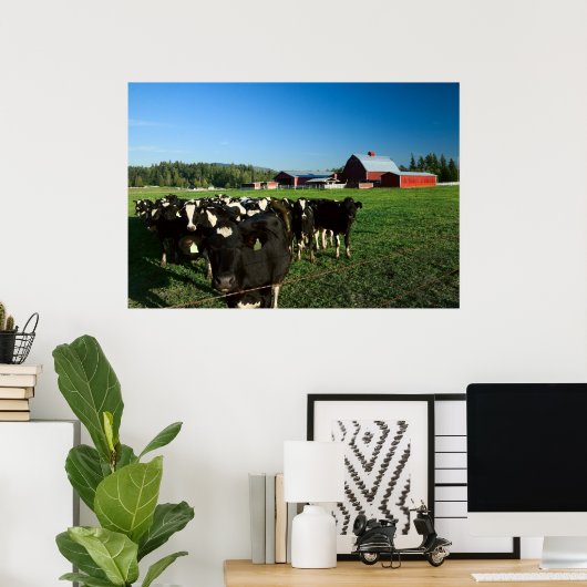 Dairy Cattle and Red Barn Print (Thuiskantoor)