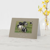 Dairy Cattle Kaart (Gele Bloem)