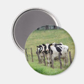 Dairy Cattle Magneet (Voorkant / Achterkant)