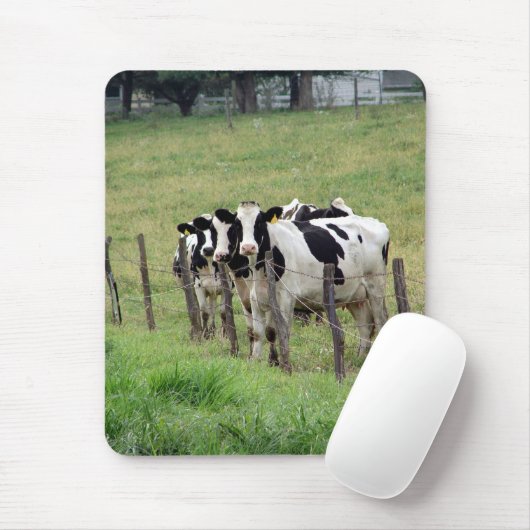 Dairy Cattle Muismat (Met muis)