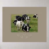 Dairy Cattle Poster (Voorkant)