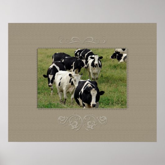 Dairy Cattle Poster (Voorkant)