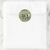 Dairy Cattle Ronde Sticker (Tas)