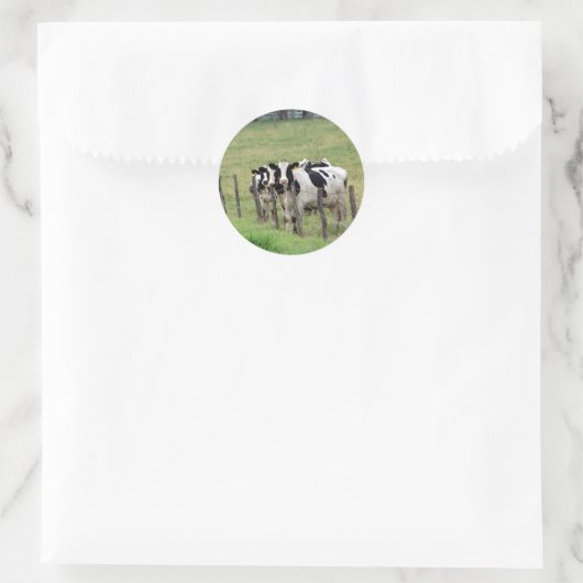 Dairy Cattle Ronde Sticker (Tas)