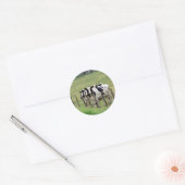 Dairy Cattle Ronde Sticker (Envelop)