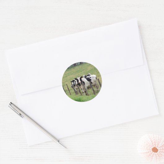 Dairy Cattle Ronde Sticker (Envelop)