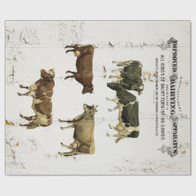 Dairy Cow Farmhouse Print