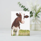 Dairy Cow - Painted Brown & White Holstein Briefkaart (Staand voorkant)