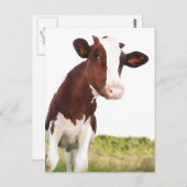 Dairy Cow - Painted Brown & White Holstein Briefkaart (Voorkant / Achterkant)