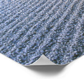 Daisen-in Temple Garden, Daitokuji, Kyoto, Japan Poster (Hoek)