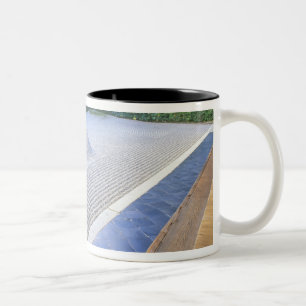 Daisen-in Temple Garden, Daitokuji, Kyoto, Japan Tweekleurige Koffiemok