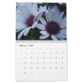 Daisies 2016 kalender (Feb 2027)