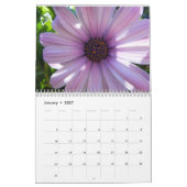 Daisies 2016 kalender (Jan 2027)
