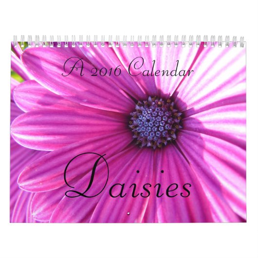 Daisies 2016 kalender (Hoes)