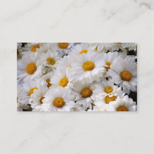 Daisies Abound [Business] Visitekaartje