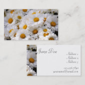 Daisies Abound [Business] Visitekaartje (Voorkant / Achterkant)