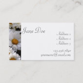 Daisies Abound [Business] Visitekaartje (Achterkant)